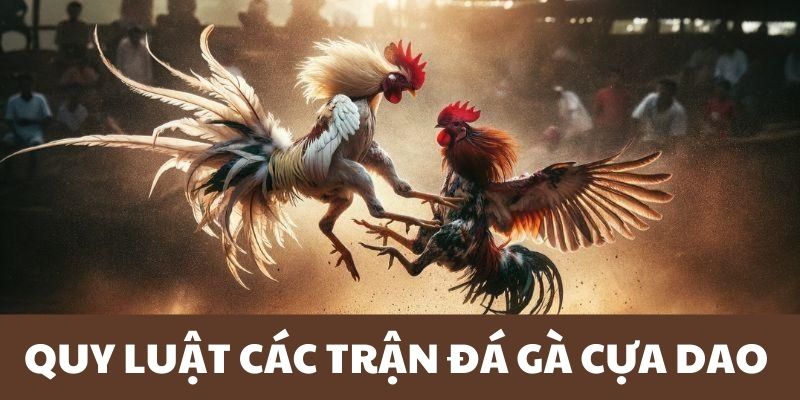 Quy định cần nắm trong các trận chiến đá gà cựa dao